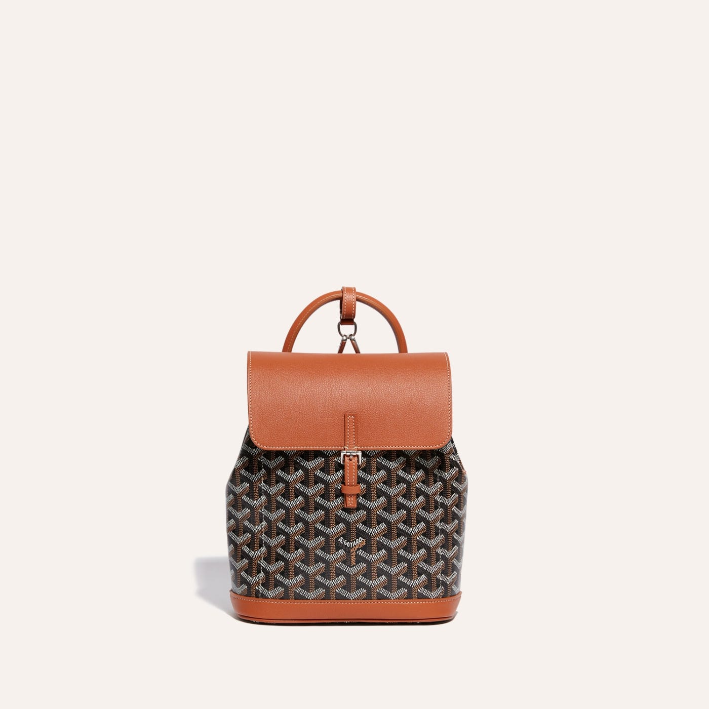 Goyard Alpin Mini Backpack Black & Tan - Image 2